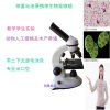專業顯微鏡與顯示屏解決方案 上饒市信州區新怡光學儀器廠批發采購指南